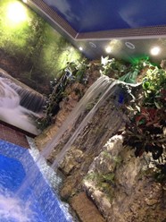 Фото компании  Экзотика 25