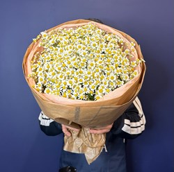 Фото компании ИП Студия Цветов 24