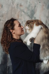 Фото компании  Кабинет красоты для кошек и собак 8