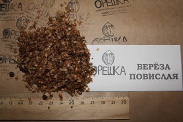 Фото компании ИП Орешка Питомник 9