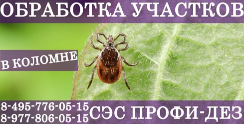 Фото компании ООО Профи - Дез 26
