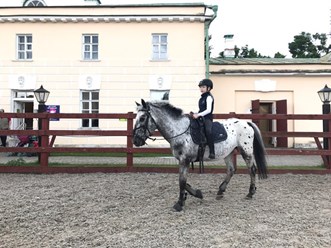 Фото компании ООО Конный Дом 4