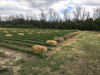 Фото компании ООО Заур и К 17