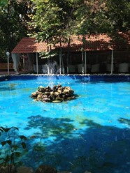 Фото компании  Оровела, ресторан 3