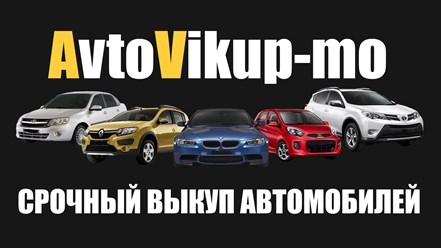 Фото компании  Avtovikup-mo 3