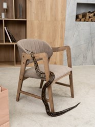 Фото компании  ZASIDELIS 3