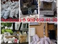Фото компании ООО Грузчики. ЧелЗаказ 2