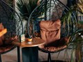 Фото компании ООО Bali Lounge 3