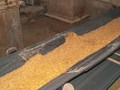 Фото компании ООО Заволжский элеватор 3