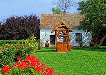 Фото компании  «GAZON GROUP». 5