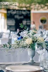 Фото компании  Три Оленя 32