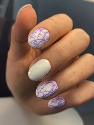 Фото компании  nails studio 12