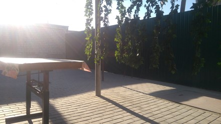 Фото компании  Бухта, сауна 1