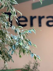 Фото компании  TerraDom 1