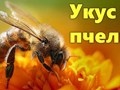 Проведение биопробы обязятельно. Пчелиный ЯД обладает противовоспалительным, обезболивающим и тонизирующим эффектом!