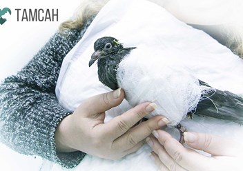 Пациент