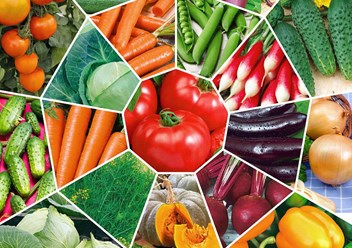 Фото компании  Садовый Дворик - магазин саженцев 2