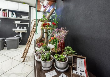 Фото компании  Beauty_Sisters 2