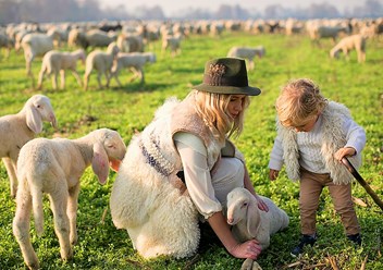 На ферме овцнводства