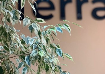 Фото компании  TerraDom 1