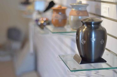 Фото компании  «РасВет» 4