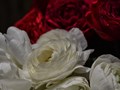 Фото компании ИП Lundi flowers 1