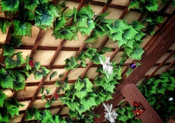 Фото компании  Цезарь, кафе-ресторан 2