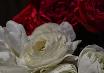Фото компании ИП Lundi flowers 1