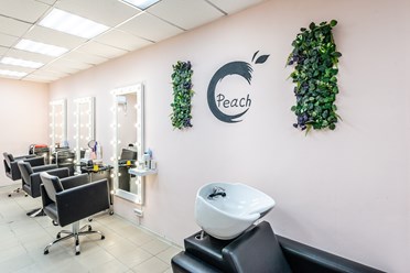 Фото компании  Peach 11