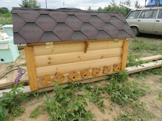Фото компании РОО Центр Русского Пчеловодства 4