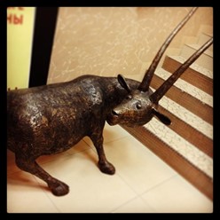 Фото компании  Козловица, чешская пивная 19