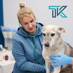 Фото компании  Тимура Казакова 4