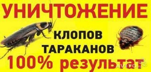 истребляем любых насекомых навсегда