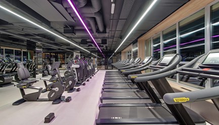 Фото компании  DDX Fitness 13