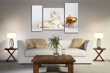 Фото компании ООО Велкамстрой 36