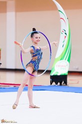 Фото компании  Всероссийская сеть детских спортивных школ по художественной гимнастике и спортивной акробатике «FD » на Авиационной улице 10