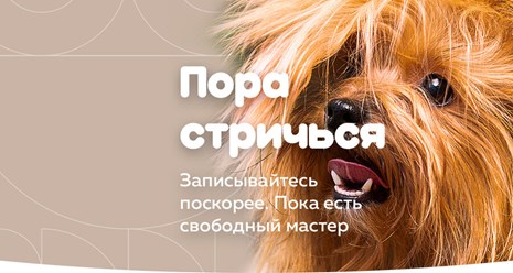 Фото компании  Зооцирюльня ГрумЛюкс 15