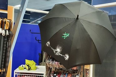 У нас вы можете заказать услугу - оригинальную художественную роспись зонта.