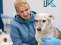 Фото компании  Тимура Казакова 4