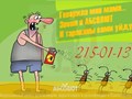 АБСОЛЮТ профессионально уничтожим клопов в Красноярске, тараканов, муравьев, блох звоните: 215-01-13