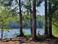 Фото компании  Деликатный пар 3