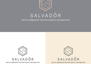 Фото компании  SALVADOR 3