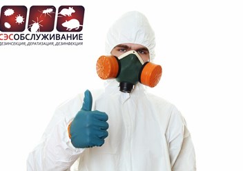 сэс  обслуживание
дезинфекция, дератизация, дезинсекция