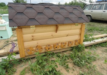 Фото компании РОО Центр Русского Пчеловодства 4
