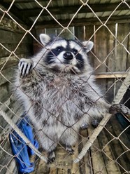 Фото компании АНО Импульс 3