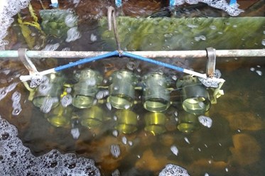 Гальваника производство