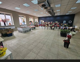 Фото компании ИП ЦветоБар 35