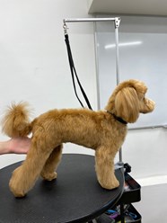 Фото компании  UrbanDog 19