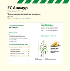 Семена кукурузы АНАМУР EURALIS SEMENCES (ЄВРАЛІС СЕМАНС)