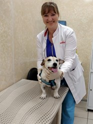 Фото компании ООО Кабинет ветеринарной медицины 30